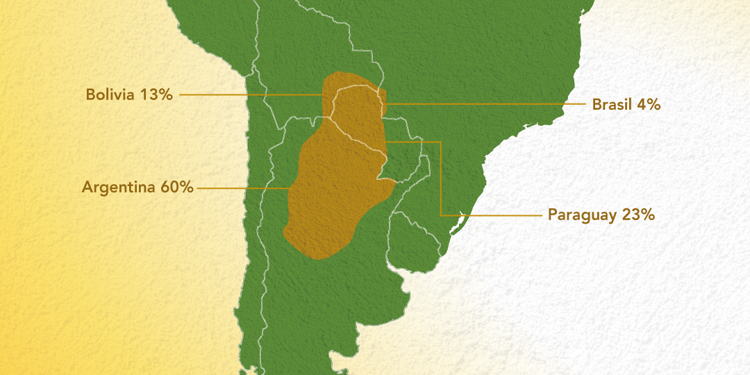 mapas_gran_chaco